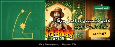 روزانہ بونس اور حیرت انگیز انعامات